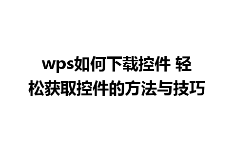 wps如何下载控件 轻松获取控件的方法与技巧