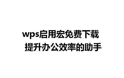 wps启用宏免费下载  提升办公效率的助手