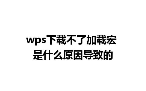 wps下载不了加载宏 是什么原因导致的