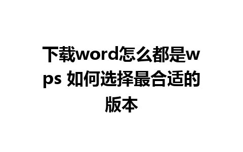 下载word怎么都是wps 如何选择最合适的版本