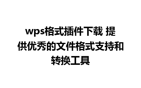 wps格式插件下载 提供优秀的文件格式支持和转换工具