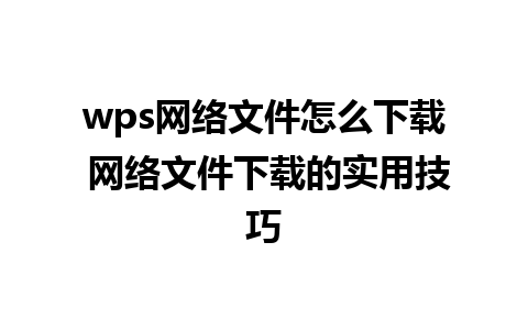 wps网络文件怎么下载 网络文件下载的实用技巧