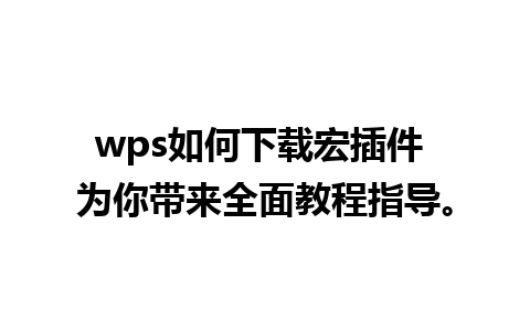 wps如何下载宏插件 为你带来全面教程指导。