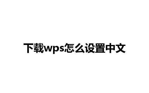 下载wps怎么设置中文 