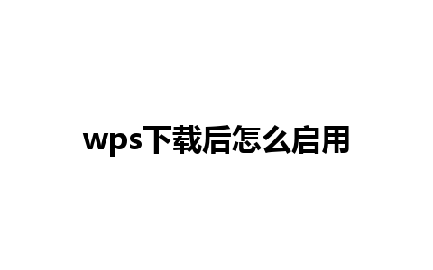 wps下载后怎么启用 