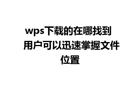 wps下载的在哪找到  用户可以迅速掌握文件位置