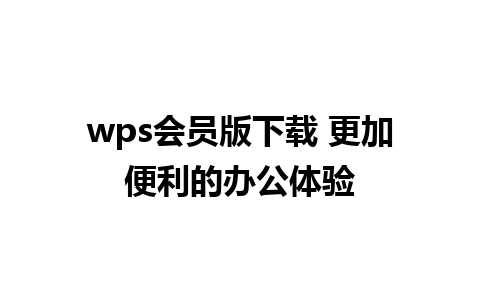 wps会员版下载 更加便利的办公体验