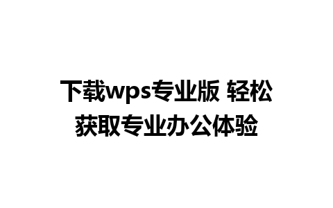 下载wps专业版 轻松获取专业办公体验