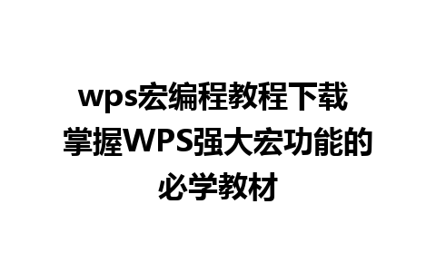 wps宏编程教程下载 掌握WPS强大宏功能的必学教材