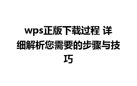 wps正版下载过程 详细解析您需要的步骤与技巧