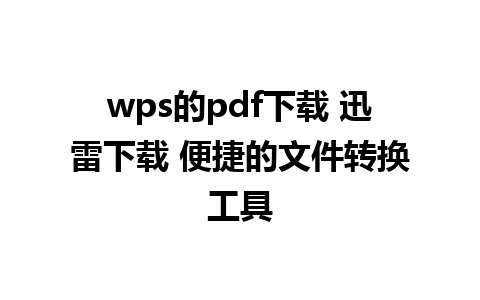 wps的pdf下载 迅雷下载 便捷的文件转换工具