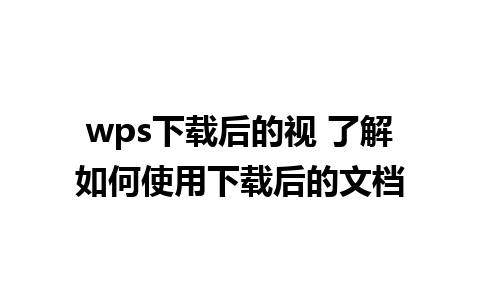 wps下载后的视 了解如何使用下载后的文档