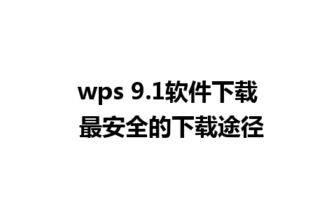 wps 9.1软件下载 最安全的下载途径