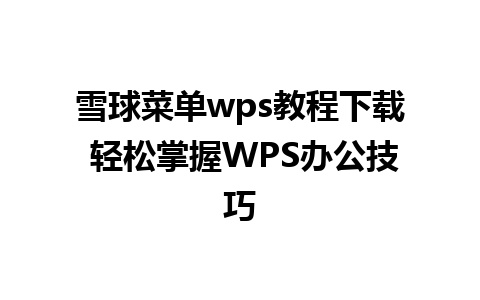 雪球菜单wps教程下载 轻松掌握WPS办公技巧