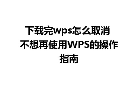 下载完wps怎么取消 不想再使用WPS的操作指南