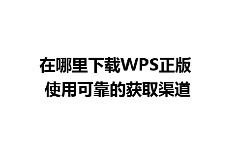 在哪里下载WPS正版 使用可靠的获取渠道