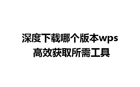 深度下载哪个版本wps 高效获取所需工具