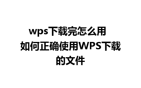 wps下载完怎么用  如何正确使用WPS下载的文件