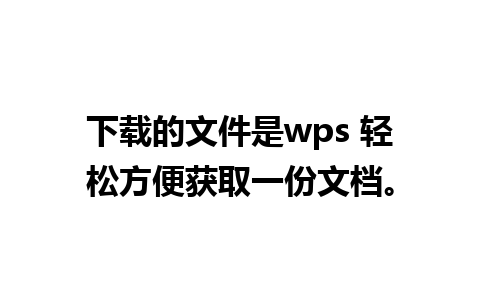 下载的文件是wps 轻松方便获取一份文档。