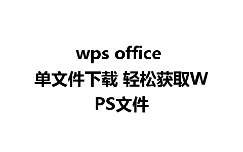 wps office 单文件下载 轻松获取WPS文件