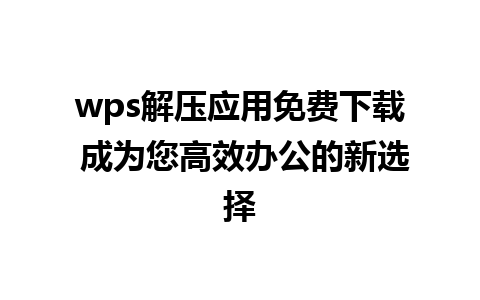 wps解压应用免费下载 成为您高效办公的新选择