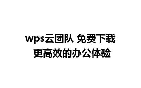 wps云团队 免费下载 更高效的办公体验