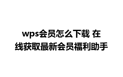 wps会员怎么下载 在线获取最新会员福利助手