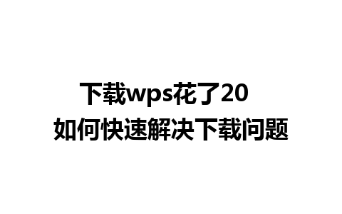 下载wps花了20  如何快速解决下载问题