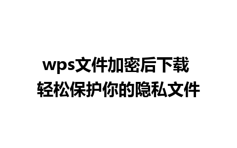 wps文件加密后下载 轻松保护你的隐私文件