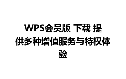 WPS会员版 下载 提供多种增值服务与特权体验