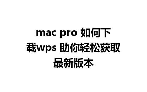 mac pro 如何下载wps 助你轻松获取最新版本