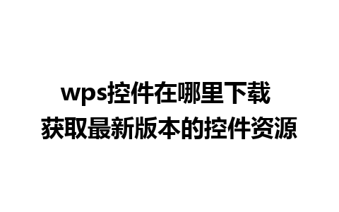 wps控件在哪里下载 获取最新版本的控件资源