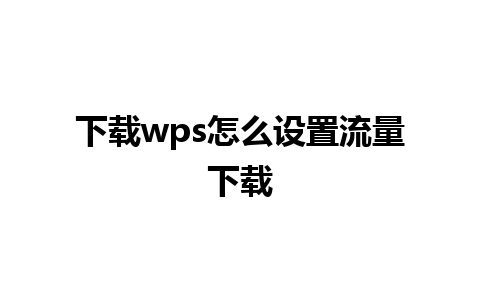 下载wps怎么设置流量下载 