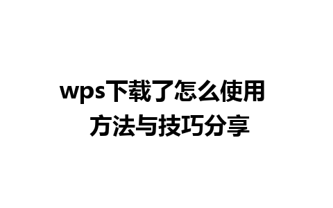 wps下载了怎么使用  方法与技巧分享