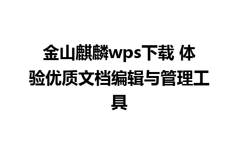 金山麒麟wps下载 体验优质文档编辑与管理工具