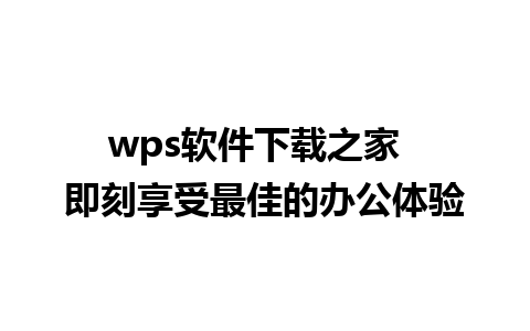 wps软件下载之家  即刻享受最佳的办公体验