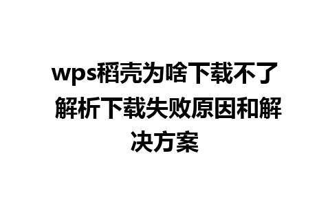 wps稻壳为啥下载不了 解析下载失败原因和解决方案