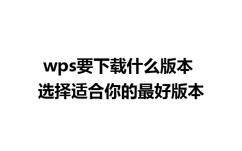 wps要下载什么版本 选择适合你的最好版本