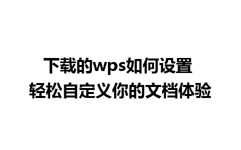 下载的wps如何设置 轻松自定义你的文档体验