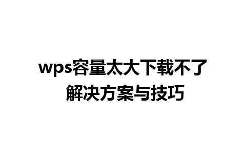 wps容量太大下载不了 解决方案与技巧