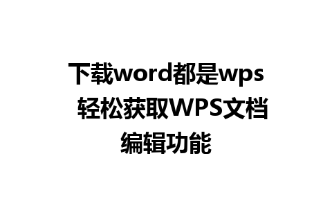 下载word都是wps  轻松获取WPS文档编辑功能