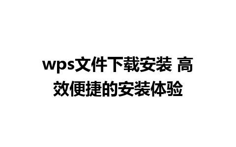 wps文件下载安装 高效便捷的安装体验