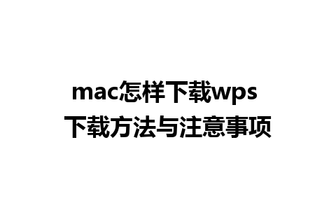 mac怎样下载wps 下载方法与注意事项