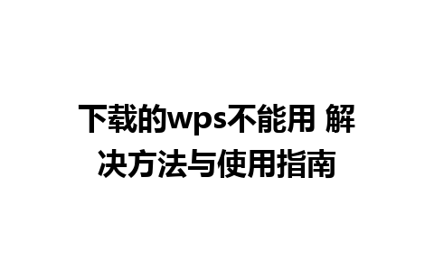 下载的wps不能用 解决方法与使用指南