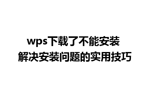 wps下载了不能安装 解决安装问题的实用技巧