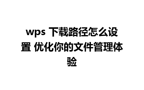 wps 下载路径怎么设置 优化你的文件管理体验