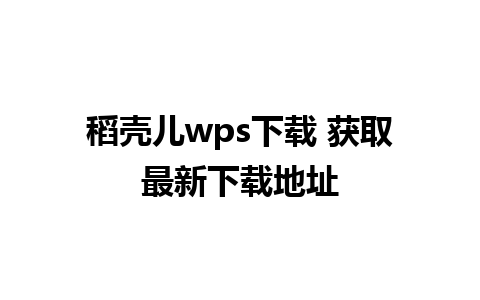 稻壳儿wps下载 获取最新下载地址