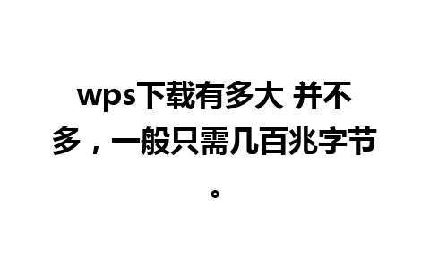 wps下载有多大 并不多，一般只需几百兆字节。