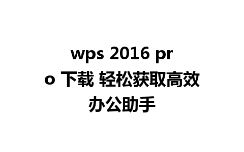 wps 2016 pro 下载 轻松获取高效办公助手