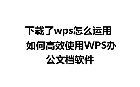 下载了wps怎么运用  如何高效使用WPS办公文档软件